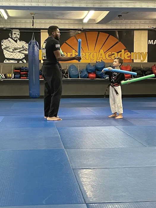 Degerberg Academy of Martial Arts Picture 8