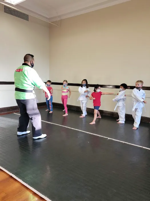 Karate Academy Irving Park Picture 1
