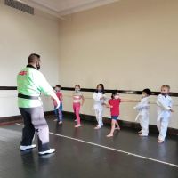 Karate Academy Irving Park ico