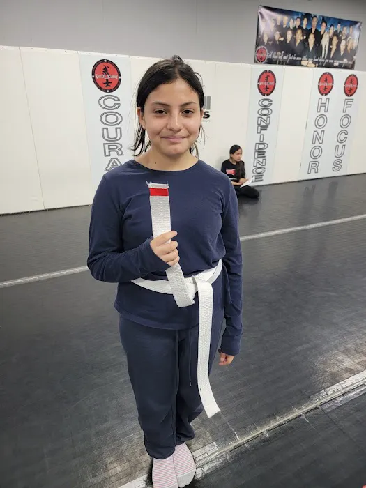 Karate Academy Irving Park Picture 6