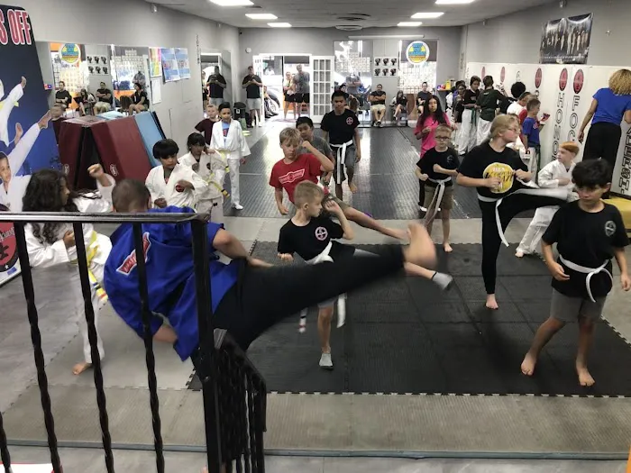 Karate Academy Irving Park Picture 2