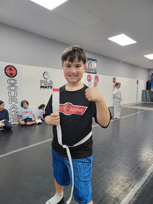 Karate Academy Irving Park Picture 10