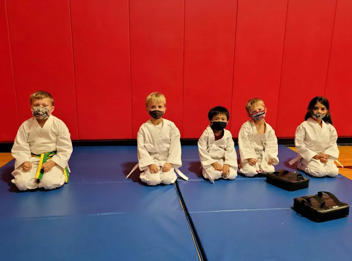 Karate Academy Irving Park Picture 7