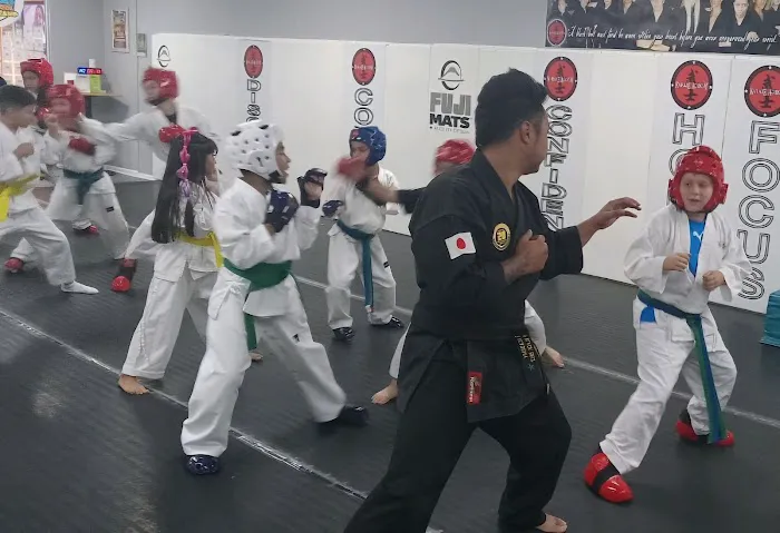 Karate Academy Irving Park Picture 8