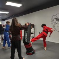 Guardian Way Martial Arts and Fitness (formerly Chung's Taekwondo and Hapkido) ico