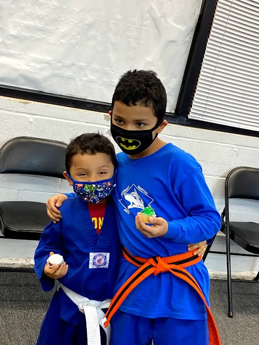 Diversey Martial Arts Academy Picture 6