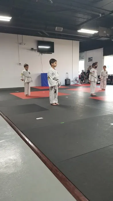 ATA Martial Arts of Franklin Park Picture 3