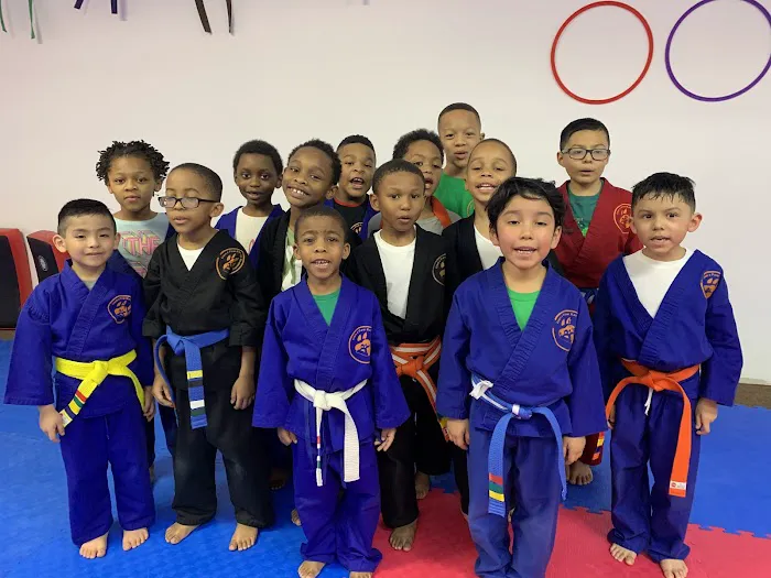 Lions Paw Karate And Chess Academy Picture 8