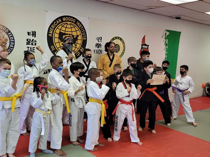 American Martial Arts Academy Picture 6