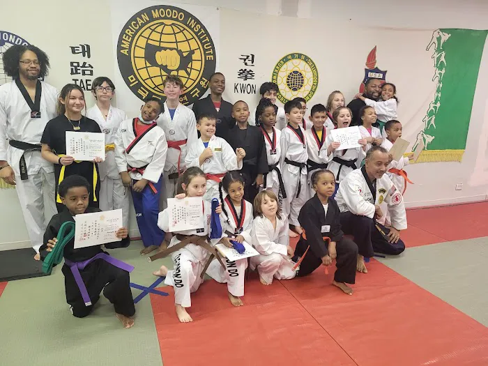 American Martial Arts Academy Picture 7