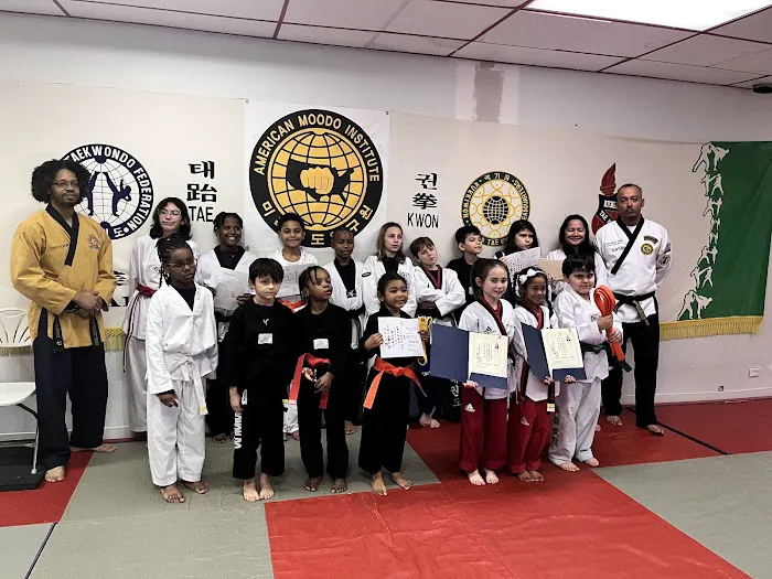American Martial Arts Academy Picture 8