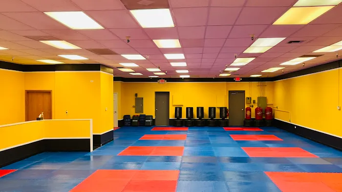 Xcellent Taekwondo Center Picture 4