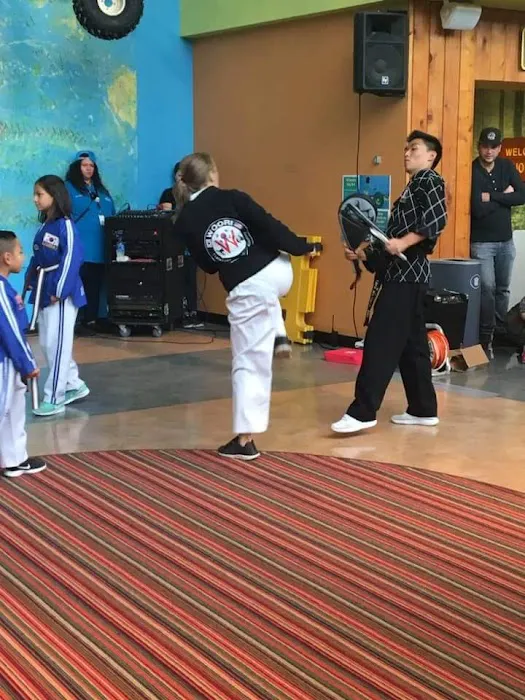 Woori Taekwondo & Hapkido Academy Midlothian Picture 6