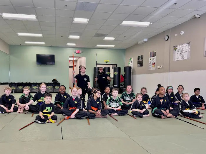 Premier Martial Arts Hinsdale Picture 2