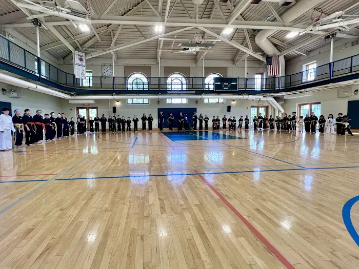 Premier Martial Arts Hinsdale Picture 3