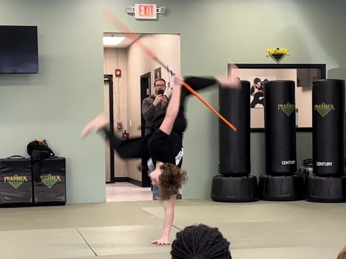 Premier Martial Arts Hinsdale Picture 1