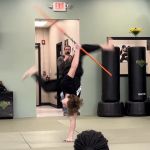 Premier Martial Arts Hinsdale