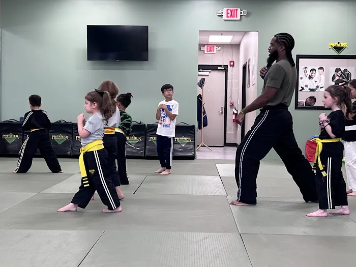 Premier Martial Arts Hinsdale Picture 6