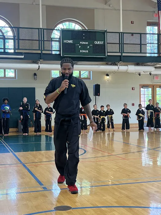 Premier Martial Arts Hinsdale Picture 7