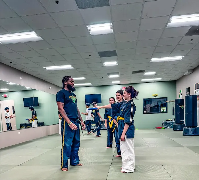 Premier Martial Arts Hinsdale Picture 8