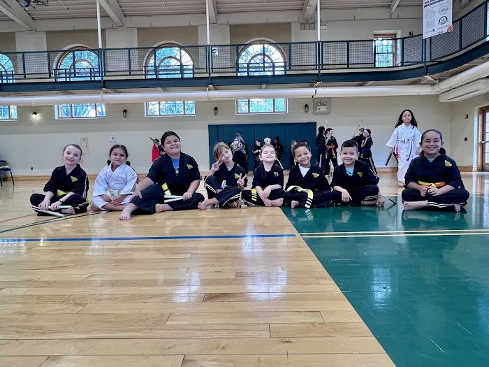 Premier Martial Arts Hinsdale Picture 5