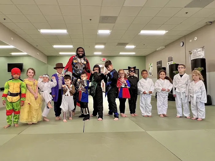 Premier Martial Arts Hinsdale Picture 4