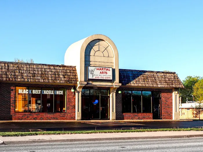 Black Belt Excellence Picture 1