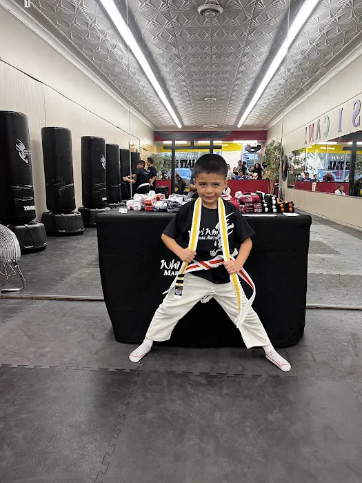 WhirlWin Martial Arts Picture 6