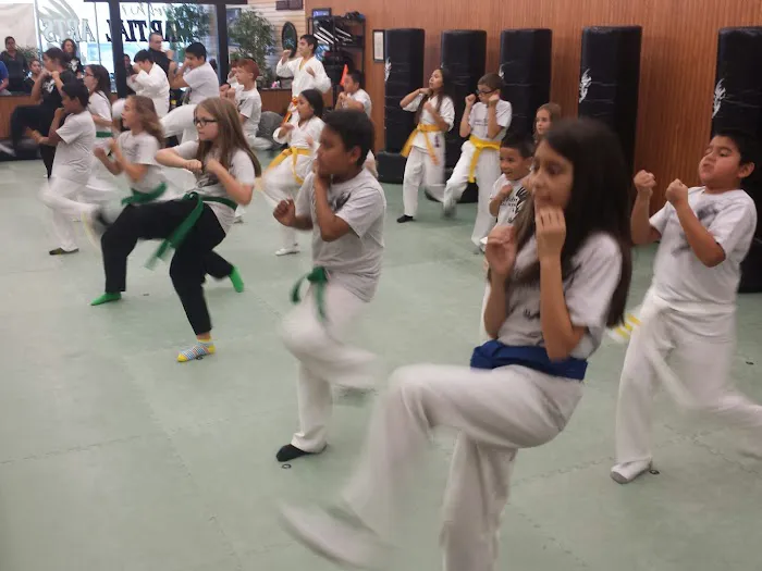 WhirlWin Martial Arts Picture 10