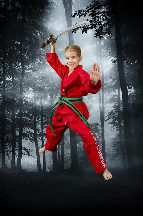Park's Champion Taekwondo Picture 1