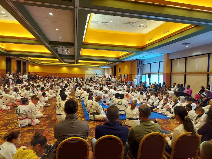 Elmhurst Tang Soo Do Picture 3