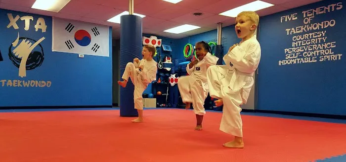 Traditional Taekwondo Academy & Fitness Center Picture 9