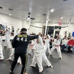 ChampYon 2 Taekwondo and Martial Arts