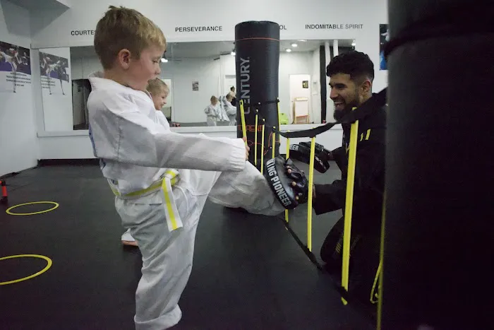 ChampYon 2 Taekwondo and Martial Arts Picture 8