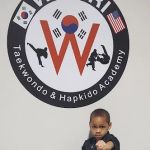 Woori Taekwondo & Hapkido Academy Homewood