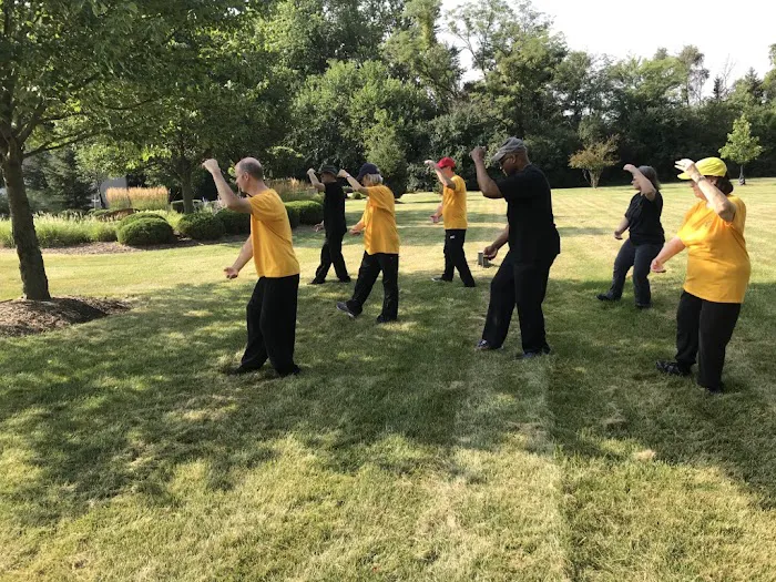 Classical Tai Chi & R.I.S. Picture 3