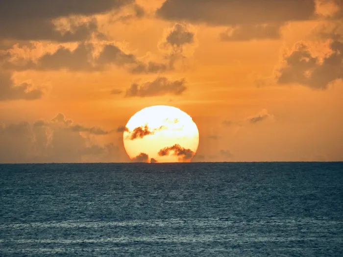 Classical Tai Chi & R.I.S. Picture 4