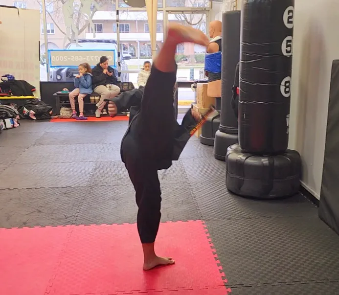 Stagen's Martial Arts Picture 5