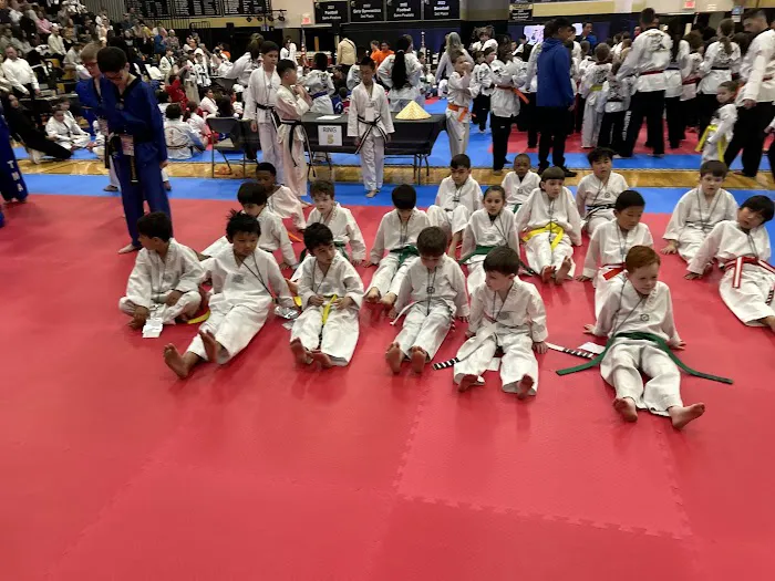 Team Martial Arts Picture 10