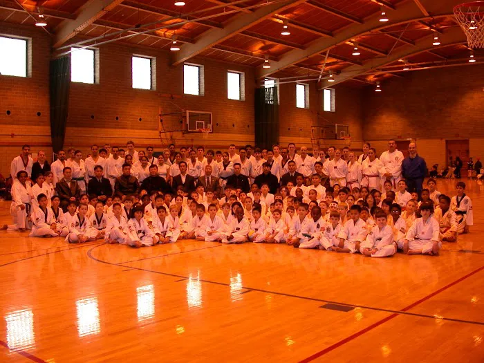 Baek's Tiger Martial Arts Academy Picture 2