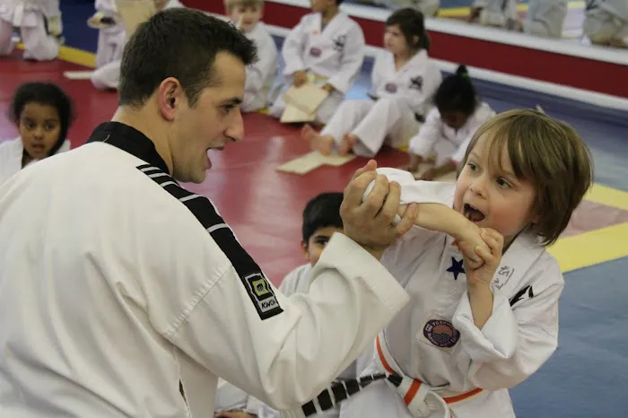 Baek's Tiger Martial Arts Academy Picture 1