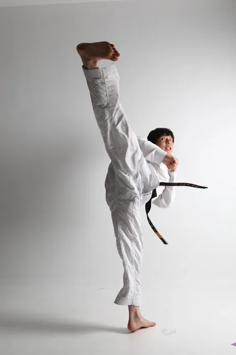 Baek's Tiger Martial Arts Academy Picture 4