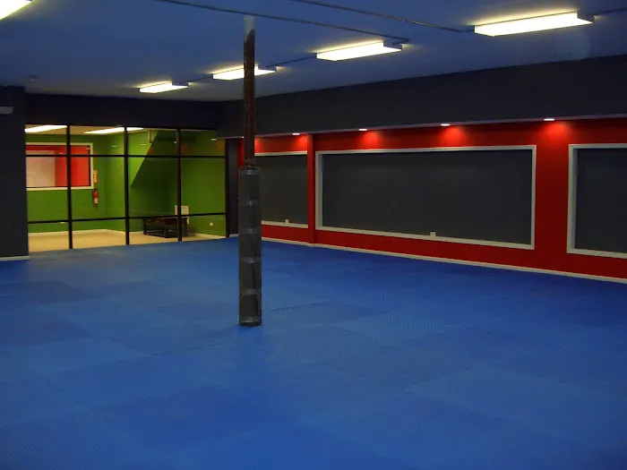 Baek's Tiger Martial Arts Academy Picture 5