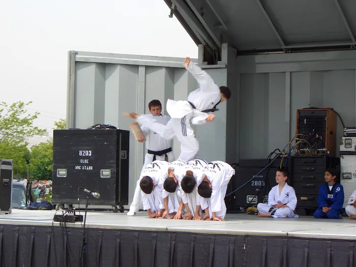 Baek's Tiger Martial Arts Academy Picture 8