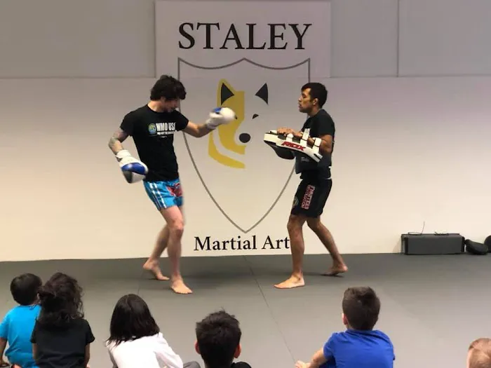 Staley Martial Arts, Carlson Gracie North Shore Picture 6