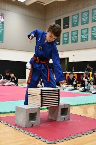 Max Martial Arts Picture 4