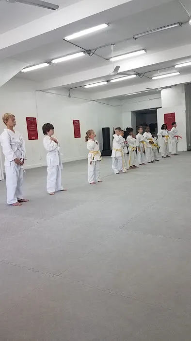 Fonseca Martial Arts - Evanston Picture 3