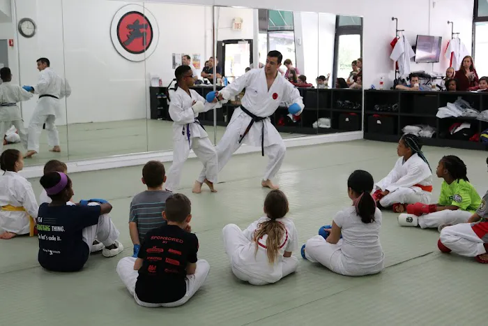 Fonseca Martial Arts - Evanston Picture 5