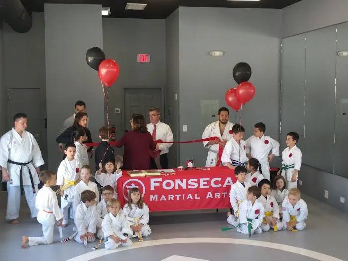 Fonseca Martial Arts - Park Ridge Picture 3