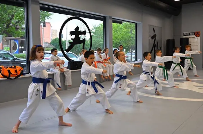 Fonseca Martial Arts - Park Ridge Picture 7